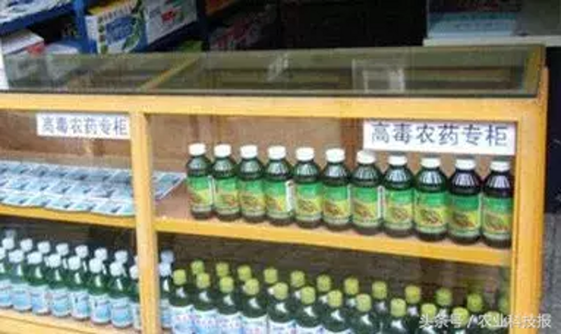 西吉县邮编是多少？这个问题困扰着许多需要邮寄包裹或文件的人。
